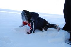 Adam falls in the snow